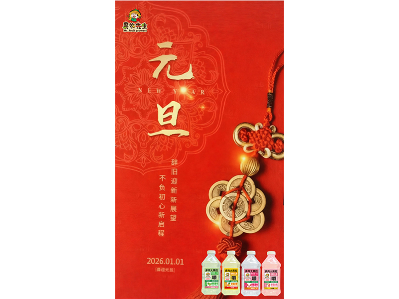 新元逢馬躍 福運踏春來 