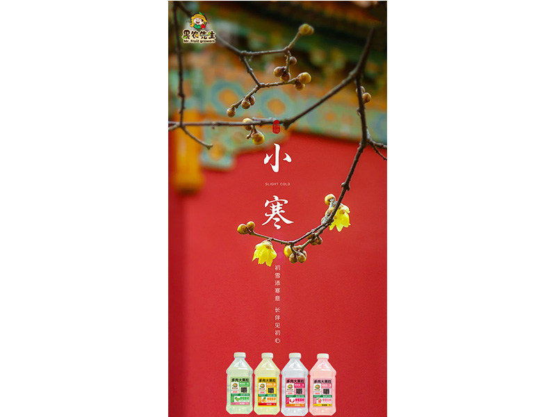 小寒迎雪至 歲暮歸家時